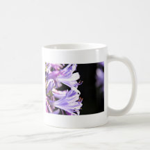 Weiche lila Agapanthus-Blumen - Lilie des Nils Tee Haferl