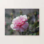 Weiche rosa Rose und Knospen Puzzle