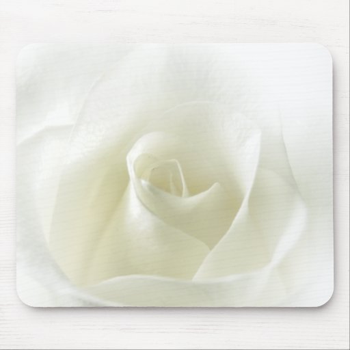 Weiche weiße Rose Mousepads