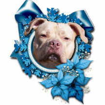 Weihnachten - blaue Schneeflocke - Pitbull - Jerse Fotostatuen