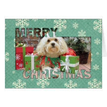 Weihnachten - Havanese - Maurer Grußkarte