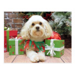 Weihnachten - Havanese - Maurer Postkarten