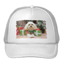 Weihnachten - Havanese - Maurer Retrokultcap
