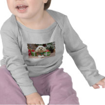 Weihnachten - Havanese - Maurer Shirts