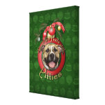 Weihnachten - Plattform die Hallen - Pitties - Tig Gespannter Galerie Druck