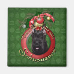 Weihnachten - Plattform die Hallen - Schnauzer Magnets