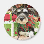 Weihnachten - Schnauzer - Joey Magnete