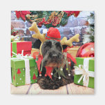 Weihnachten - Schnauzer - Sadie Magnets