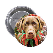 Weihnachten - Schokolade Labrador - Hershey Anstecknadelbuttons