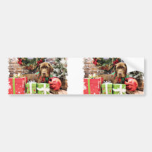 Weihnachten - Schokolade Labrador - Zena Autosticker
