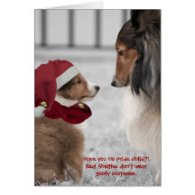 Weihnachten Shelties Grußkarte