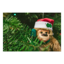 Weihnachtsaffe-Fotografie-Kunst