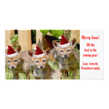 Weihnachtsbaby-Kojote-Foto Photokarte