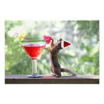 Weihnachtseichhörnchen, das ein Cocktail trinkt Fotografische Drucke