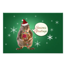 Weihnachtseichhörnchen mit Schneeflocken Photodruck