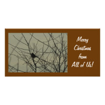 Weihnachtsfoto-Karte:  Kleiner Vogel Foto Grußkarte
