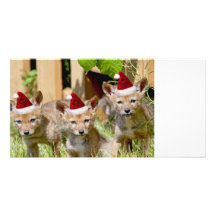 Weihnachtskojote-Welpen Personalisierte Foto Karte