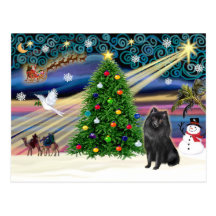 WeihnachtsmagieSchipperke Postkarten