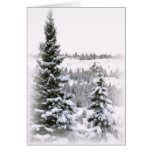Weihnachtsmärchenland Grußkarte