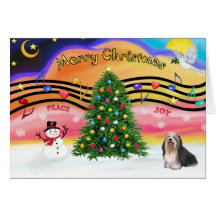 Weihnachtsmusik 2 - Havanese 3 Grußkarte