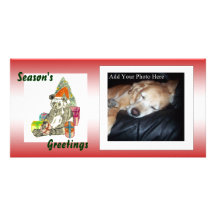 Weihnachtspanda Photokarten