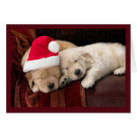 Weihnachtswelpen Karten