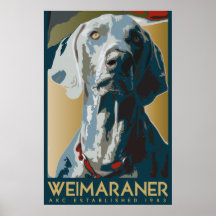 Weimaraner Nation: HUNDEZUCHTVERBAND Weimaraner Plakat
