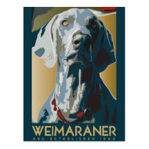 Weimaraner Nation: Weimaraner 1943 Postkarten