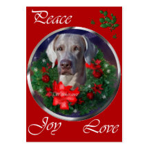 Weimaraner Weihnachtsgeschenke Visitenkarten