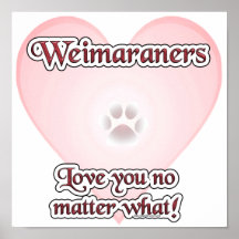 Weimaraners Liebe Sie egal was Plakat