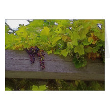 Weinberg-Trauben Grün und Rot Grußkarte