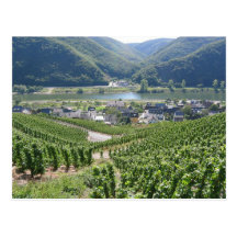 Weinberge Postkarten