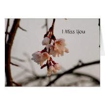 Weinendes Cherry~Miss Sie Grußkarten