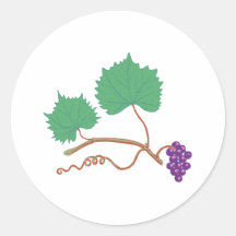 Weinrebe grape vine stickers