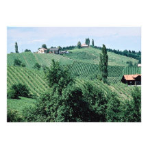 Weinweg in Südsyrien, Österreich beim Corni Personalisierte Ankündigung