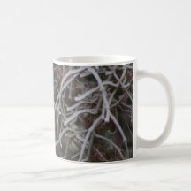 Weiß-throated Spatzen-Becher Kaffeetassen