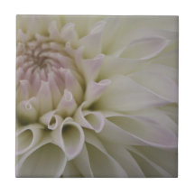 Weiße Blume Kacheln