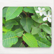 Weiße Blume Mousepad