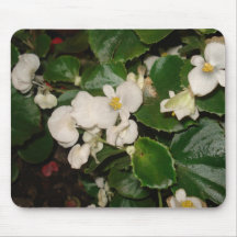 Weiße Blumen Mousepads