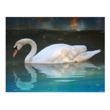 Weiße Enten-Postkarte