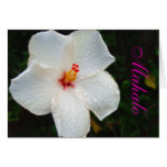 Weiße Hawaii-Hibiskuskarte