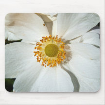 Weiße "japanische Anemone " Mousepad