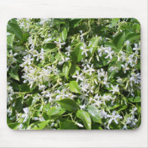Weiße Jasmin-Blumen Mauspad