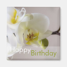 Weiße Orchidee • Alles- Gute zum Geburtstagmagnet Kühlschrankmagnete