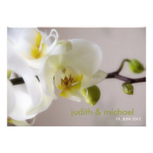 Weiße Orchidee • Hochzeits-Einladung