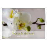 Weiße Orchidee • Hochzeits-Einladung Karte