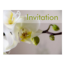 Weiße Orchidee • Party Einladungs-Postkarte