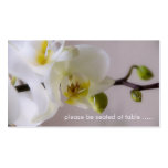 Weiße Orchidee • Setzen Sie Karte Visitenkarte