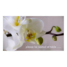 Weiße Orchidee • Setzen Sie Karte Visitenkarte