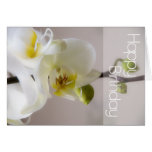 Weiße Orchideen-Geburtstags-Karte